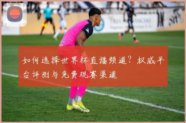 如何选择世界杯直播频道？权威平台评测与免费观赛渠道